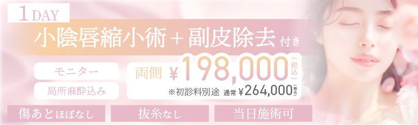 モニター募集中