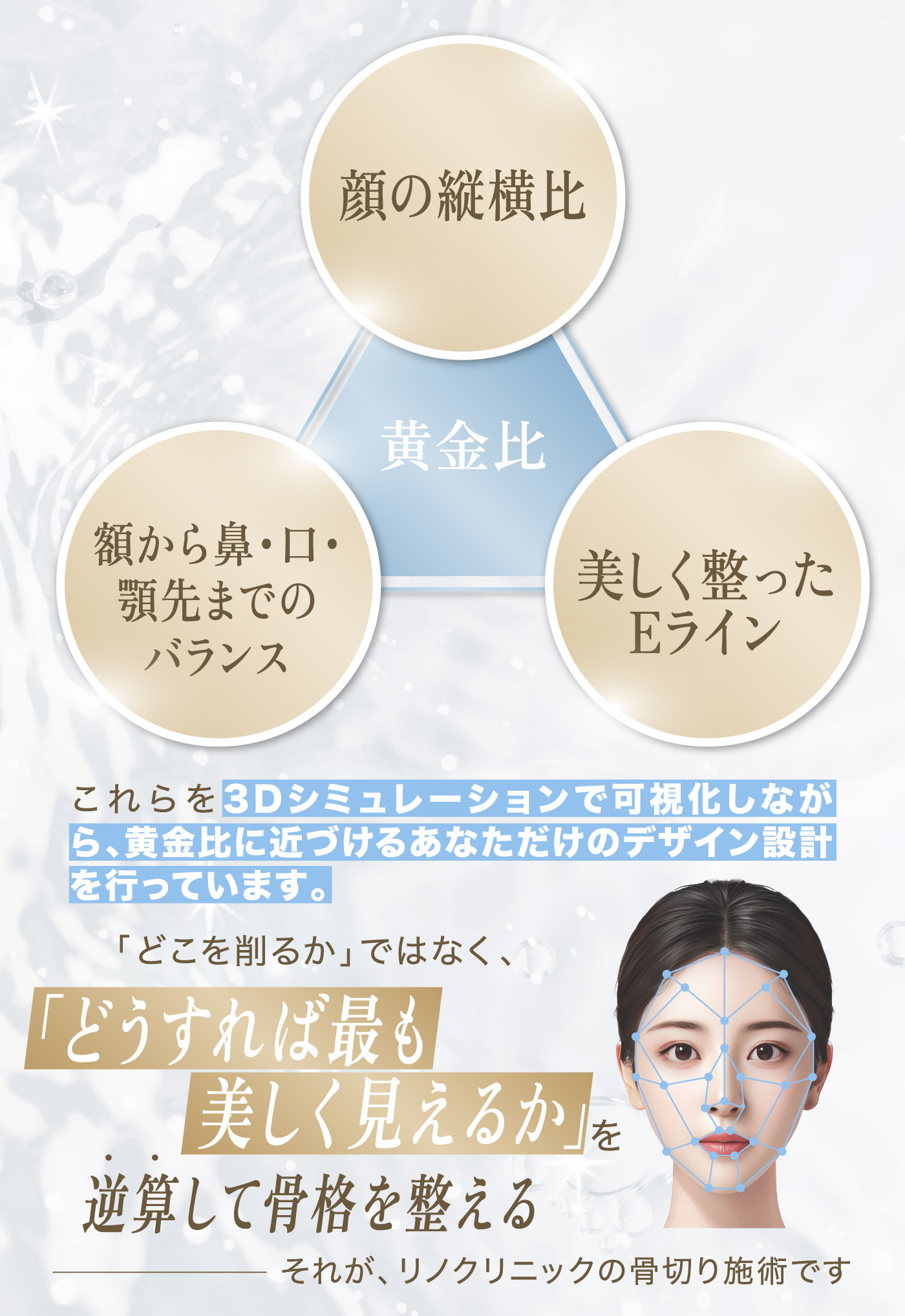 顔の縦横比
