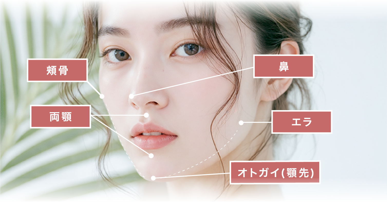 あなたに最適なプランをご提案します
